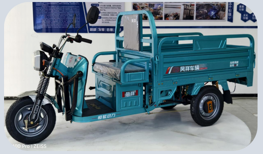 1000lbs Cargo Trike 72V System | 45km/h 375-12 Tires